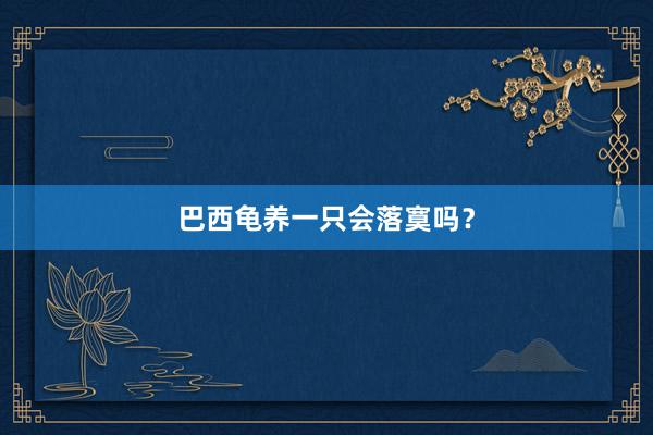 巴西龟养一只会落寞吗?
